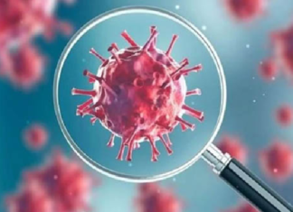 ব্রাজিলে একদিনে ১ লাখ ৫৭ হাজার কোভিড আক্রান্ত times24live.com